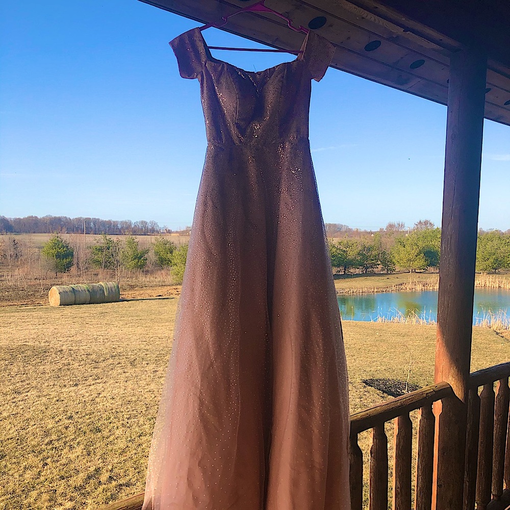Glittery Pink Prom Dress